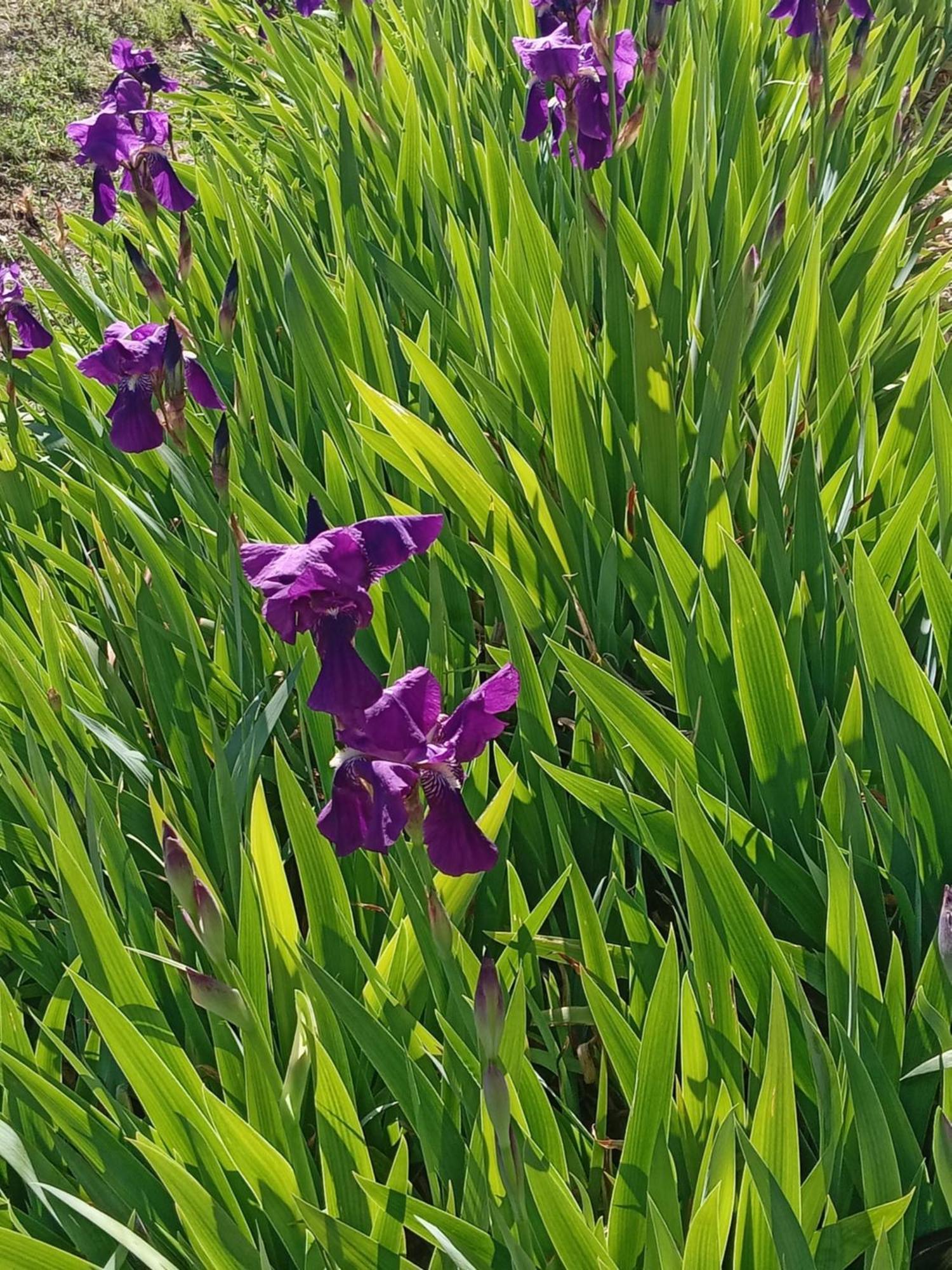 Saint-Jean-de-FosL'Echappee Belle公寓 外观 照片